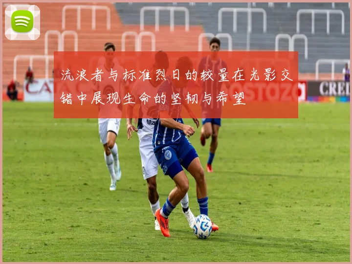 流浪者与标准烈日的较量在光影交错中展现生命的坚韧与希望