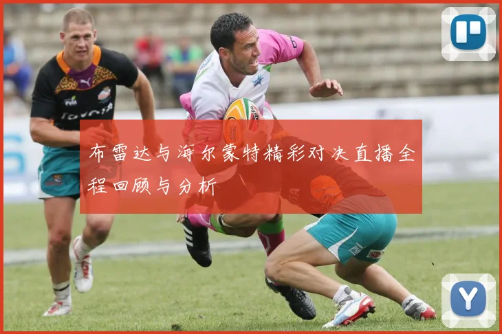 布雷达与海尔蒙特精彩对决直播全程回顾与分析